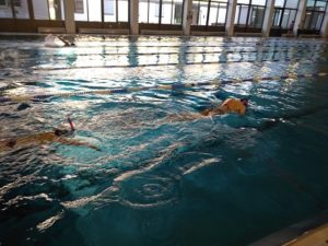schwimmtraining go for gold tokio 2020